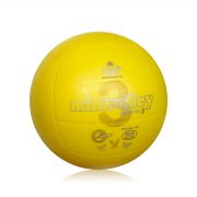 Il pallone da Minivolley - 1Á livello