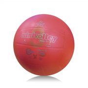 Il pallone da Minivolley - 2Á livello