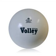 Il pallone volley ufficiale