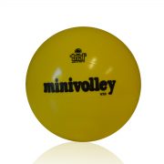 Il pallone da Minivolley